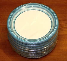 80 Disposable Duni Paper Party Plates: celebration, buffet, dinner, Christmas