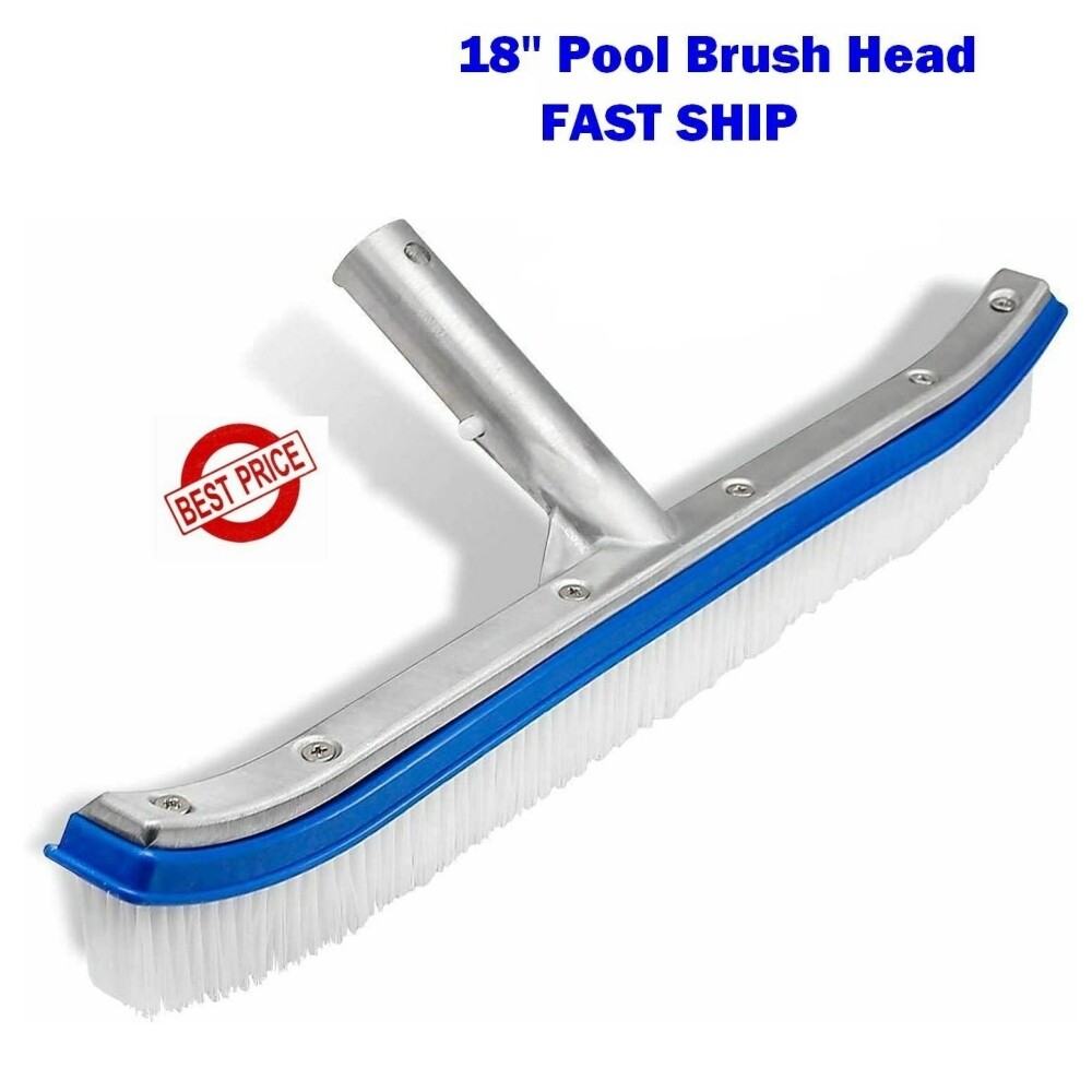 Pool Brush Bristles Falling Out: Causes, Fixes, and Prevention Tips