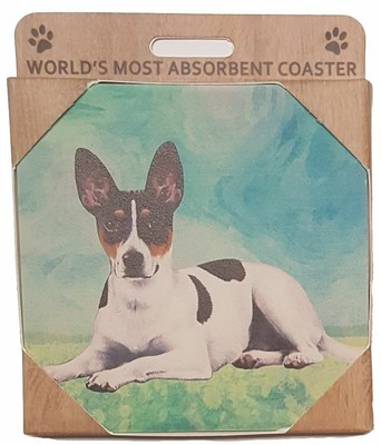 maxwell rat terriers