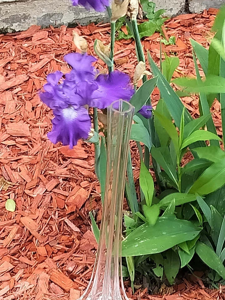 Jarrón de vidrio torre Eiffel de 16 pulgadas para decoración boda pluma centro de mesa Eifel Foto 2 de 4
