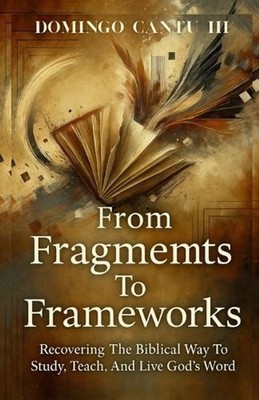 From Fragments To Frameworks by Domingo Cantu Paperback Book