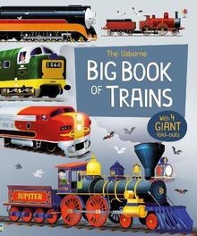Big Book of Trains (Big Books)  von Cullis, Megan | Buch | Zustand sehr gut
