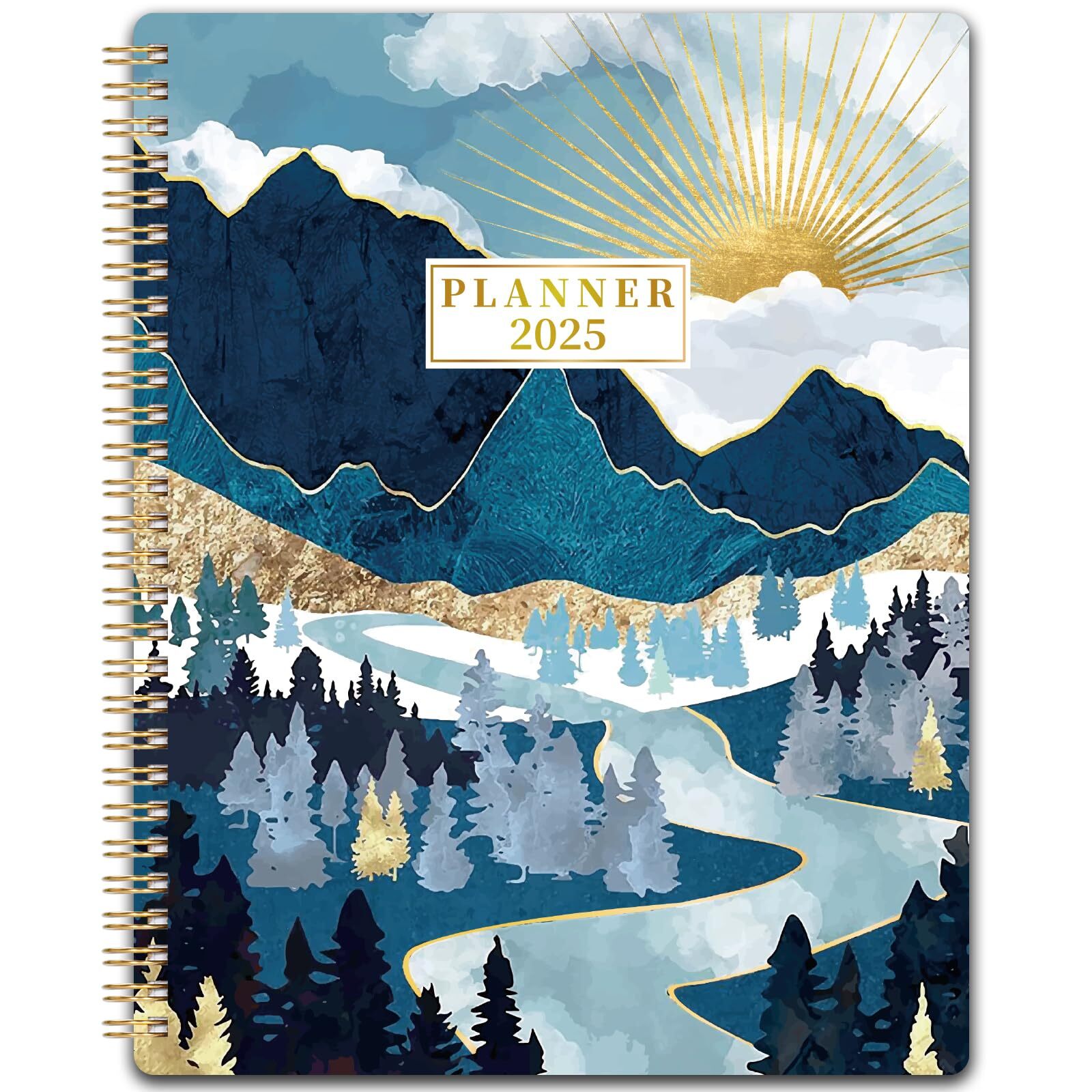 2025 Planner - JAN 2025 - DEC 2025 Planner 2025 8'' x 10'' 2025 Weekly Monthl...