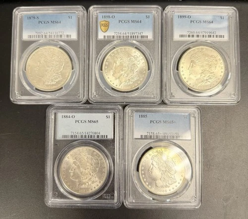 Morgan Silver Dollar Lot Of 5. All PCGS. All MS-64 Or Better. Price Drop