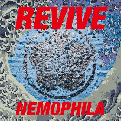 CD REVIVE (Limited Edition) Japan NEMOPHILA Music (1 CD, 1 DVD) DDCZ-9073 Album