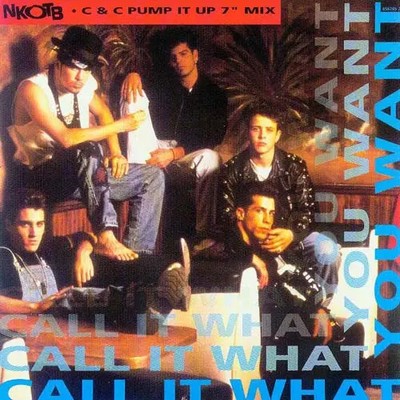 New Kids On The Block Call It What You Want (C & C Pump It Up 7'' Mix) Columbi