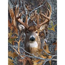 Fountor Deer Diamond Art Kits for Adults, 12x16 Inch, FDP0106