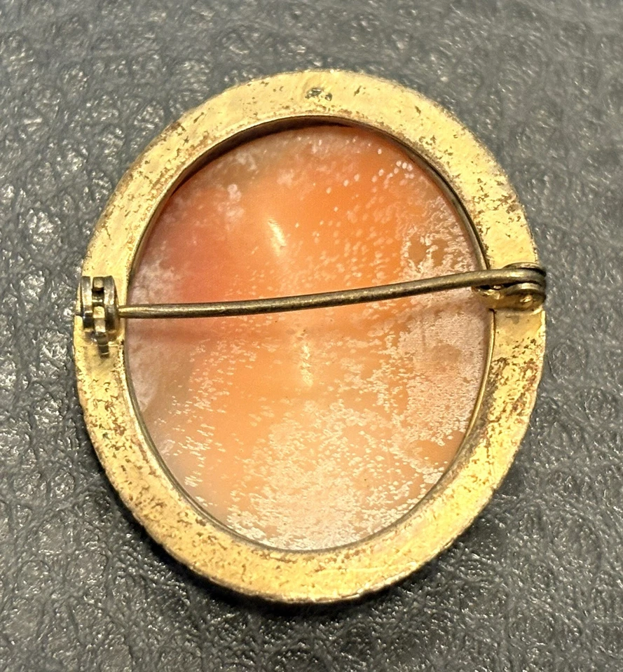 ¿ANTIGUO ITALIANO VICTORIANO ORIENTADO A LA IZQUIERDA AÑOS 1900? PIN BROCHE CAMAFEO CÁSCARA TALLADA Foto 4 de 4