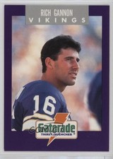1991 Gatorade Minnesota Vikings Crime Prevention Rich Gannon #5 0q3