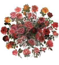 25 Rose Flower Scrapbooking Stickers Flakes Multicolor Flowers  Plants Theme