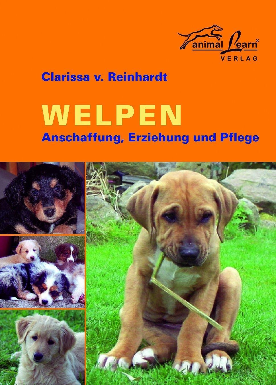 Welpen Clarissa von Reinhardt
