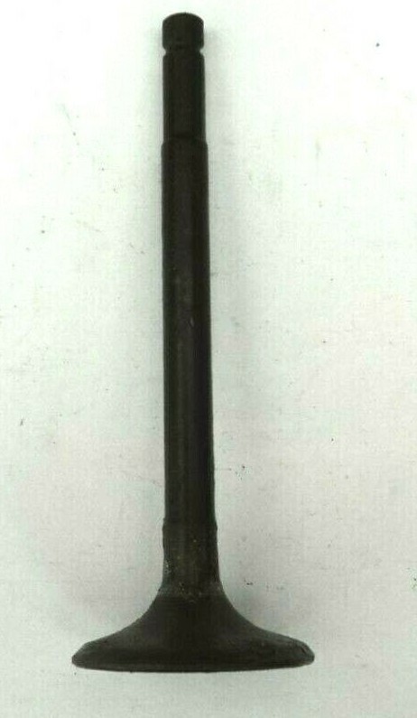 Foto 3 di 3