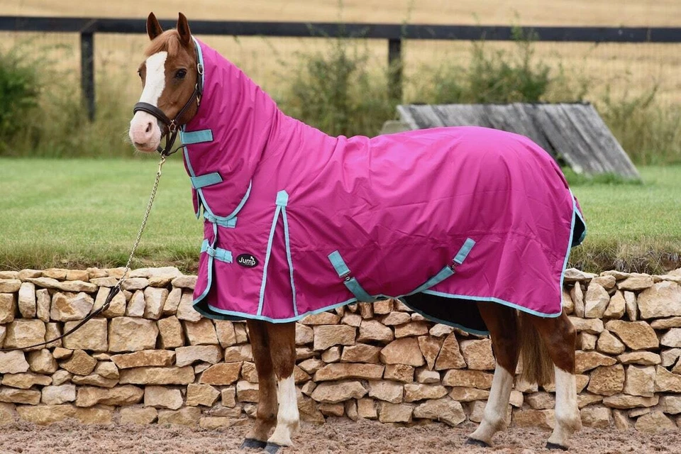 Leichte Pferdedecke ohne Füllung Weidedecke 600D Standard und Kombi Hals wasserdicht - Bild 2 von 4