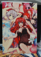 Rias Akeno Rossweisse High School DxD Sexy Waifu Textured Custom Card