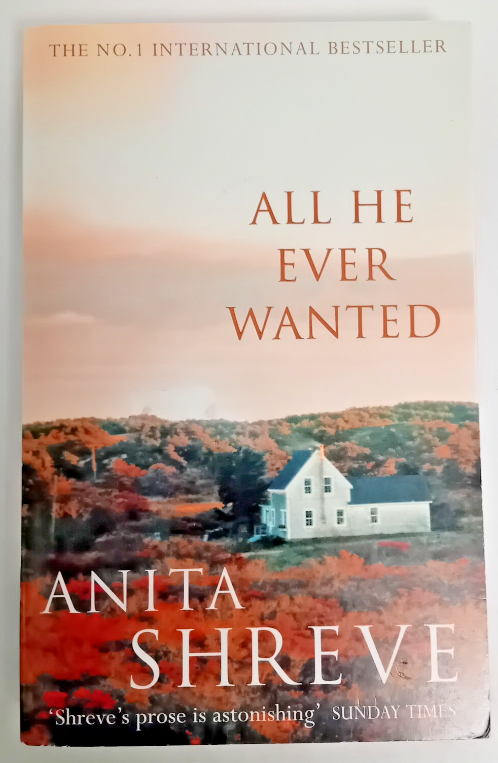 All He Ever Wanted by Anita Shreve (Paperback, 2004)