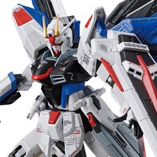 Full Mechanics The Gundam Base Limited ZGMF-X10A Freedom Gundam verGCP Model Kit