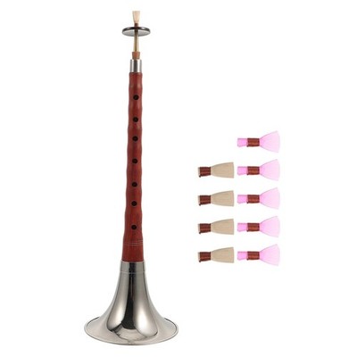 Suona Für Anfänger Traditionelles Instrument Musikinstrument Windinstrumente