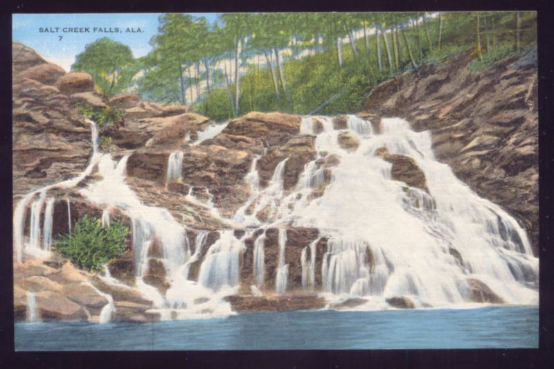 Salt Creek Falls ALABAMA Vintage Unused Postcard