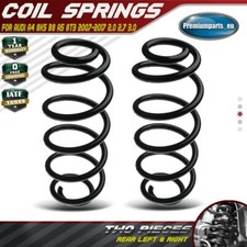 2x Coil Springs Rear Suspension for Audi A4 8K5 B8 A5 8T3 2007-2017 RA6100
