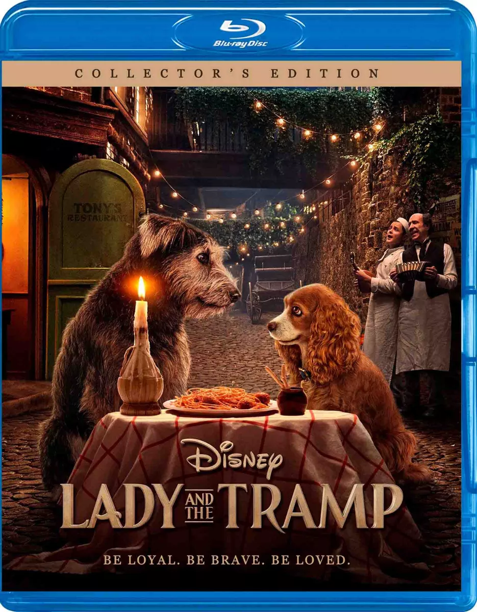 Lady and the shop tramp full free movie