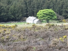 Photo 6x4 A former farmstead on the edge of Annalong Wood Glasdrumman The c2011