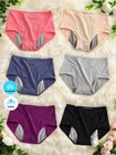 5-Pack - Women's Plus Size Leak-Proof  Panties Mesh Super Breathable New in Bags