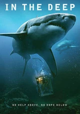 47 Meters Down DVD  **DISC ONLY** 