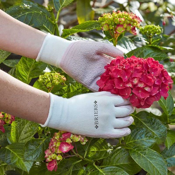 Guanti Da Giardinaggio Resistenti Alla Spina, Di Alta Qualità - Foto 5