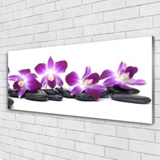 Acrylglasbilder Wandbilder Druck 125x50 Blumen Steine Kunst