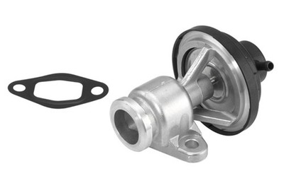 AGR Ventil BorgWarner (Wahler) 710570D für SEAT VW GOLF 1J1 SKODA POLO Variant 3