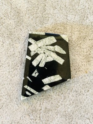 Chinese Writing Stone Feldspar Basalt Cabochon 40 mm Glossy Trapezium