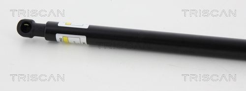 Triscan Gasfeder, Koffer-/Laderaum 8710 38232 FüR CitroËN-image