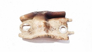 stabilisatoren Klammer  Peugeot 3008 DE2144542-47