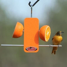 Kettle Moraine Recycled Plastic Single Oriole Orange Fruit Stick Feeder #8337