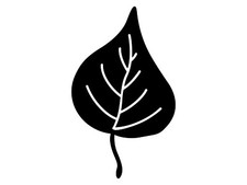 Autumn Leaf Birch Tree Fall Leaves Silhouette Vinyl Decal Car Bottle Sticker