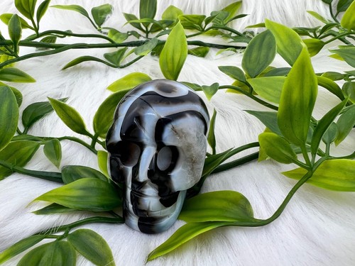 Sardonyx skull - 2" sardonyx crystal skull - natural black sardonyx gemstone - Picture 7 of 10