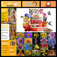 65,000+ Heirloom Wildflower Seeds Mix for Bees, Birds & Butterflies - 4 oz 175.96 per gallon