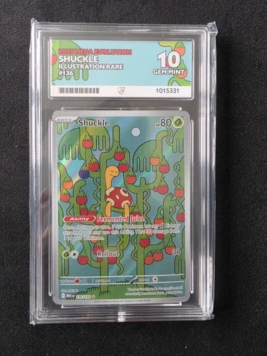 Shuckle 136/132 Illustration Rare English Pokémon Card Ace 10 Gem Mint