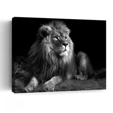 Lion Portrait Wall Art Print Bold Black White Living Room Home Decor