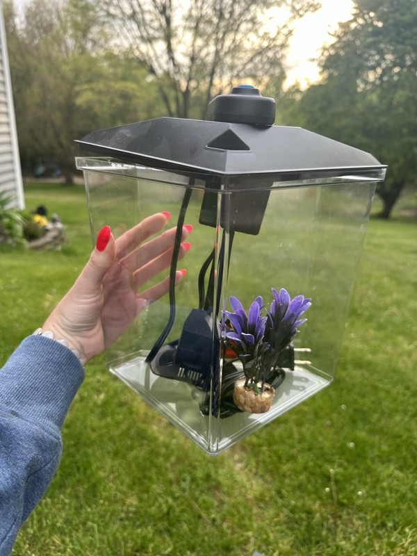 Micro beta fish tank with filter and light