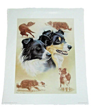 Nigel Hemming, Collies Gollage. Open Edition Print