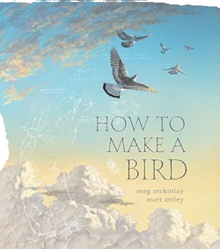 Birds of Prey of the World; art & text by Friedhelm WEICK VG