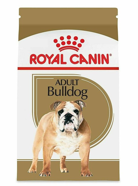 royal canin english bulldog food
