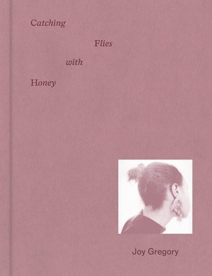 Joy Gregory: Catching Flies With Honey by Gilane Tawadros Hardcover Book