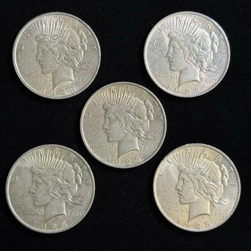 5 Lot - 1923 P Peace Dollars - VF/EF Condition - 90% Silver Dollar