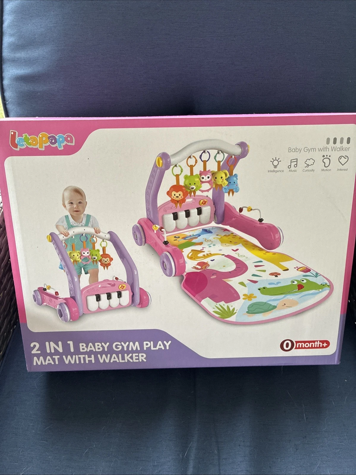 Baby Gym Play Mat with Walker and Kick Piano
Opens in a new window or tab