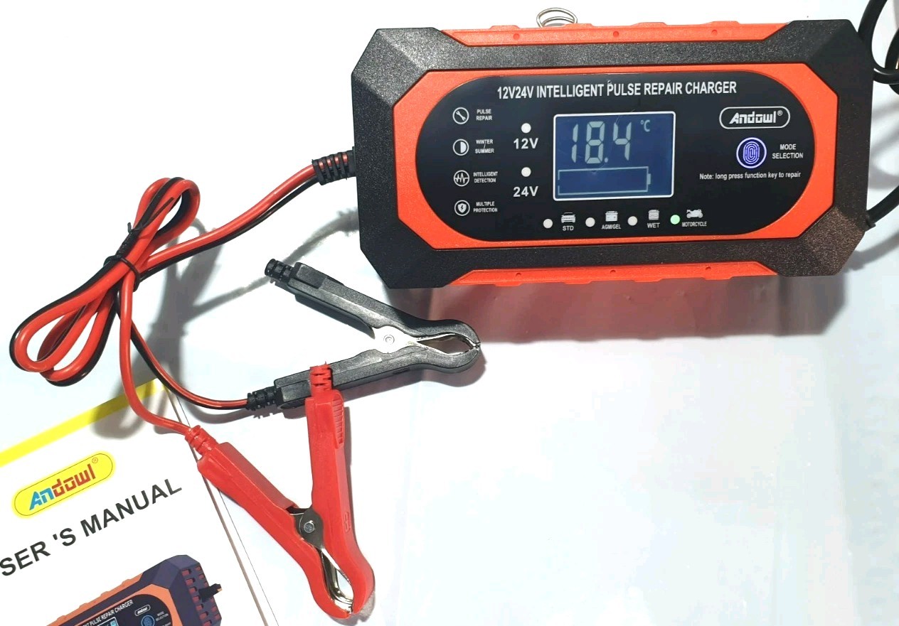 Caricabatterie Intelligente D.WORLD 12V/24V con LCD foto 4
