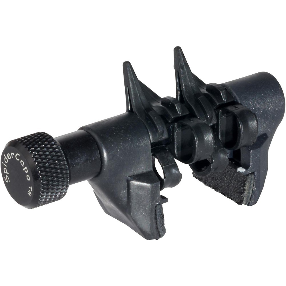 Спайдеркапо из перхоти Мини 4790₽