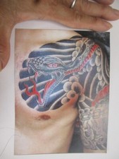 cobra tattoo body skin art print picture japan snake image 4.5x6 inch waterproof