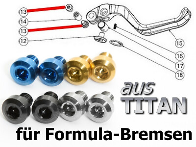 FORMULA R1 / RO / T1 2009 2014: Bremshebel Pivot Kit aus TITAN Schrauben & Achse